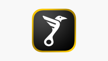 Необычный столичный каршеринг «Ворон»